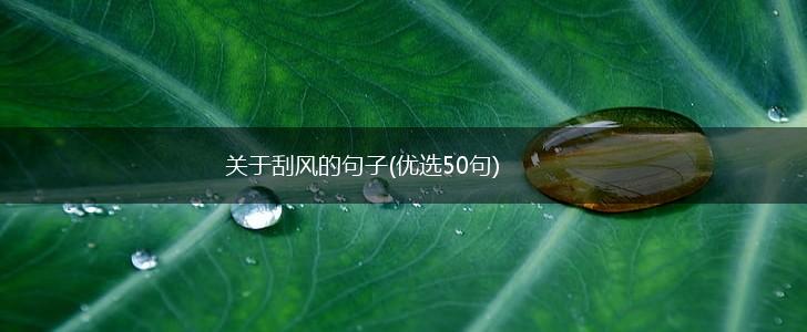 关于刮风的句子(优选50句),第1张