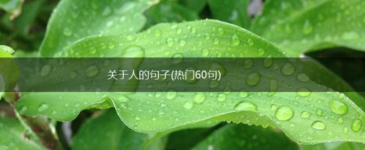 关于人的句子(热门60句),第1张