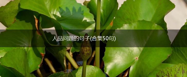 人品问题的句子(合集50句),第1张