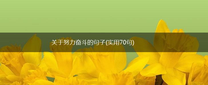关于努力奋斗的句子(实用70句),第1张