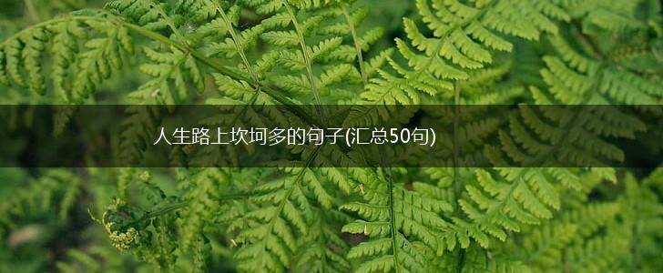 人生路上坎坷多的句子(汇总50句),第1张
