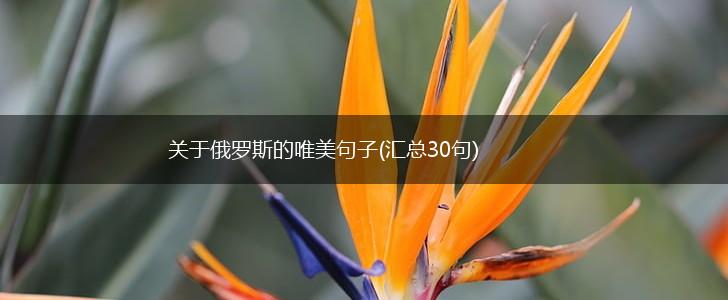 关于俄罗斯的唯美句子(汇总30句),第1张