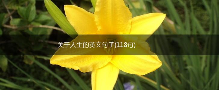 关于人生的英文句子(118句),第1张
