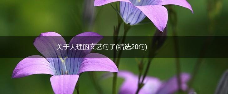 关于大理的文艺句子(精选20句),第1张