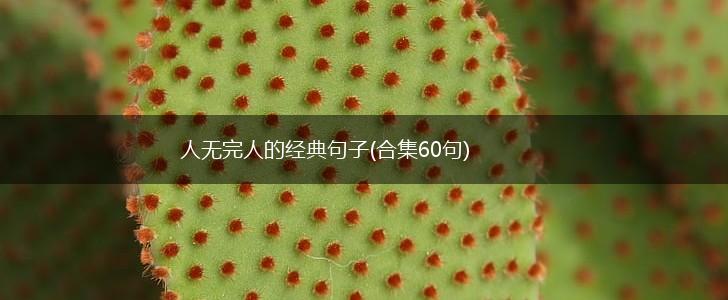 人无完人的经典句子(合集60句),第1张