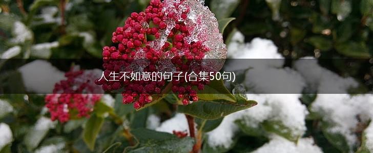 人生不如意的句子(合集50句),第1张