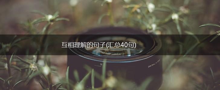 互相理解的句子(汇总40句),第1张