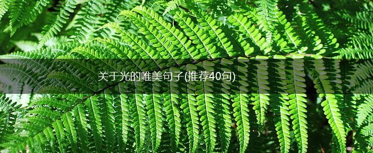 关于光的唯美句子(推荐40句),第1张