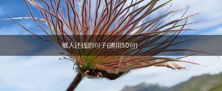 催人还钱的句子(通用50句),第1张