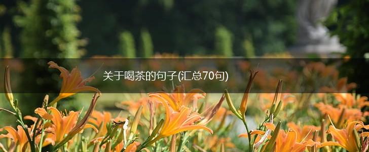 关于喝茶的句子(汇总70句),第1张