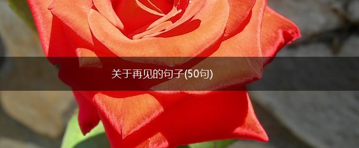 关于再见的句子(50句),第1张