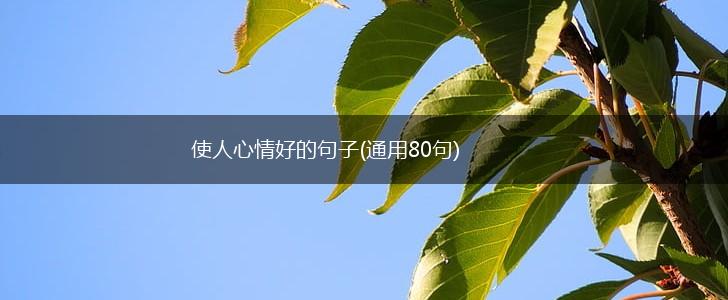 使人心情好的句子(通用80句),第1张