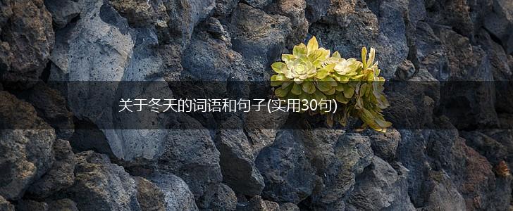 关于冬天的词语和句子(实用30句),第1张