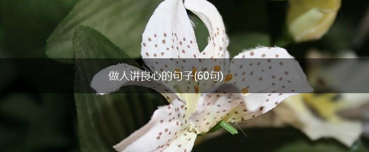 做人讲良心的句子(60句),第1张