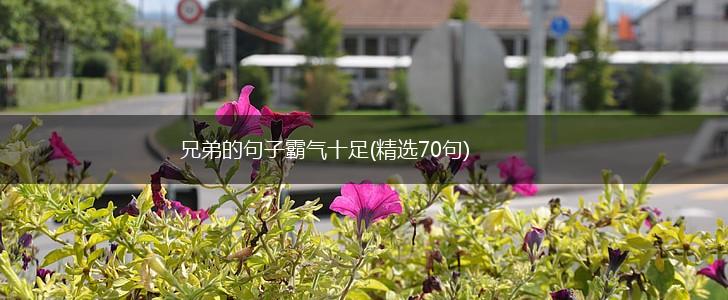 兄弟的句子霸气十足(精选70句),第1张
