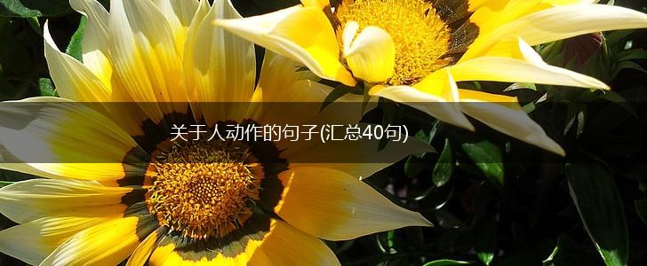 关于人动作的句子(汇总40句),第1张