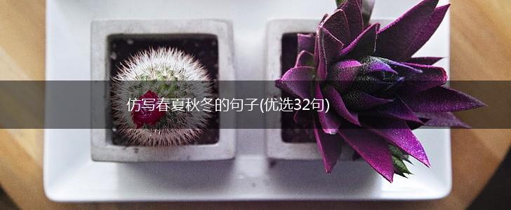 仿写春夏秋冬的句子(优选32句),第1张