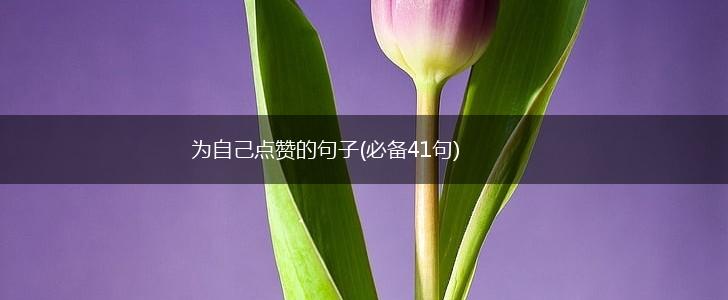 为自己点赞的句子(必备41句),第1张