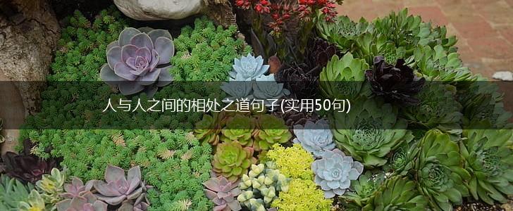 人与人之间的相处之道句子(实用50句),第1张
