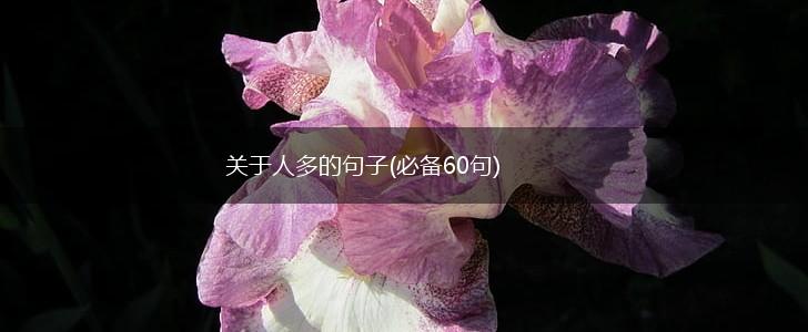关于人多的句子(必备60句),第1张