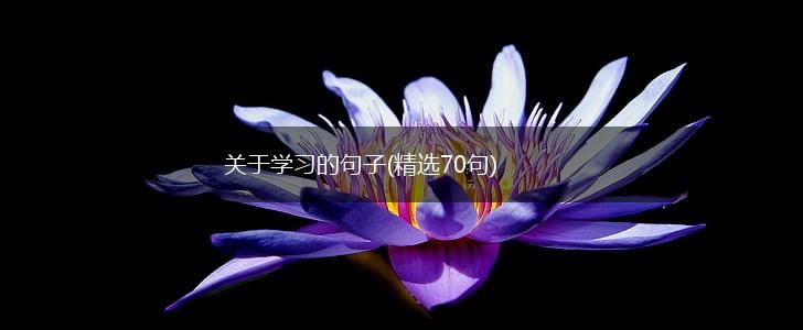 关于学习的句子(精选70句),第1张