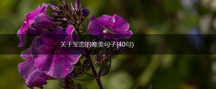 关于军恋的唯美句子(40句),第1张