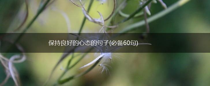 保持良好的心态的句子(必备60句),第1张