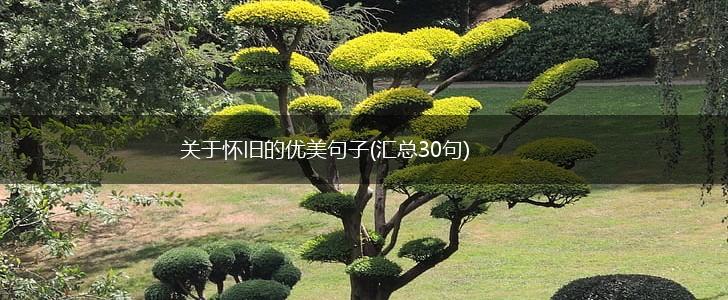 关于怀旧的优美句子(汇总30句),第1张