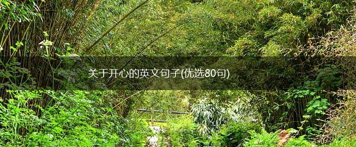关于开心的英文句子(优选80句),第1张