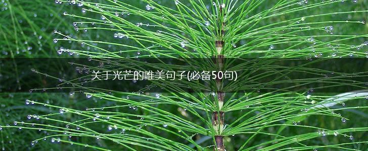 关于光芒的唯美句子(必备50句),第1张