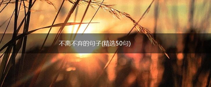 不离不弃的句子(精选50句),第1张