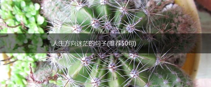 人生方向迷茫的句子(推荐50句),第1张