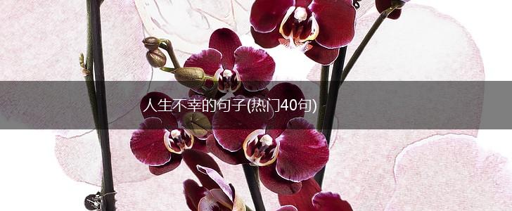 人生不幸的句子(热门40句),第1张
