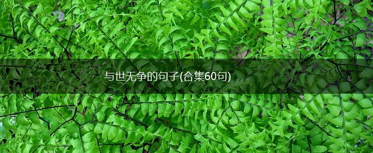 与世无争的句子(合集60句),第1张
