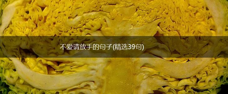不爱请放手的句子(精选39句),第1张