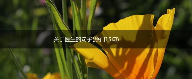 关于医生的句子(热门15句),第1张