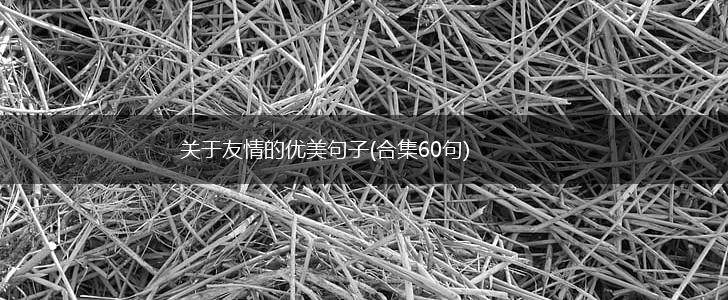 关于友情的优美句子(合集60句),第1张