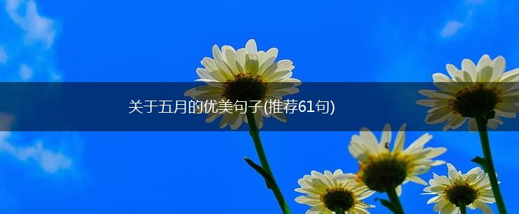 关于五月的优美句子(推荐61句),第1张