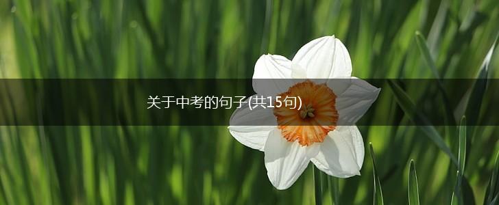 关于中考的句子(共15句),第1张
