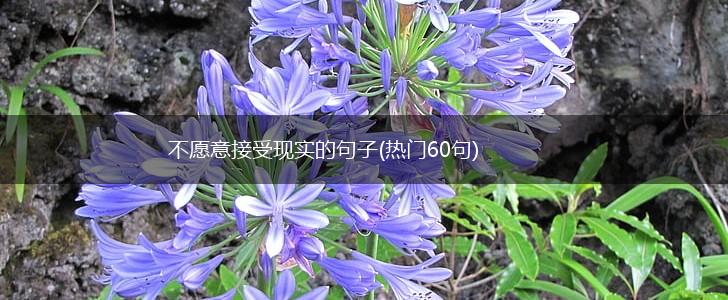 不愿意接受现实的句子(热门60句),第1张