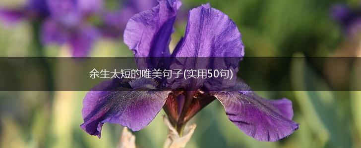 余生太短的唯美句子(实用50句),第1张