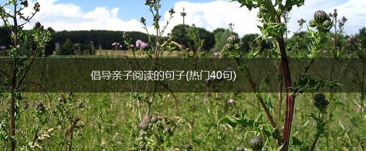 倡导亲子阅读的句子(热门40句),第1张