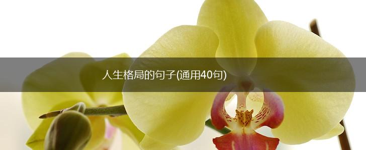 人生格局的句子(通用40句),第1张