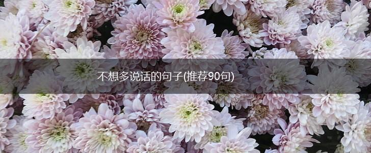 不想多说话的句子(推荐90句),第1张
