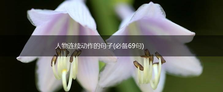 人物连续动作的句子(必备69句),第1张