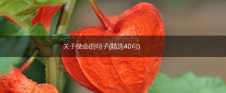 关于使命的句子(精选40句),第1张