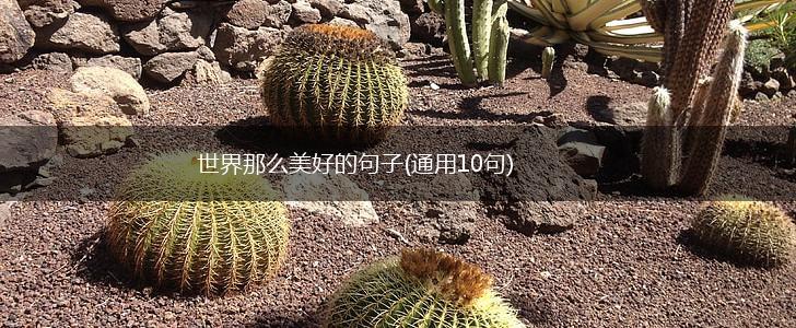 世界那么美好的句子(通用10句),第1张