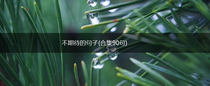 不期待的句子(合集90句),第1张