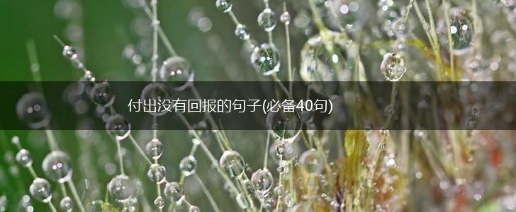 付出没有回报的句子(必备40句),第1张