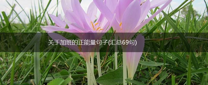 关于加班的正能量句子(汇总69句),第1张